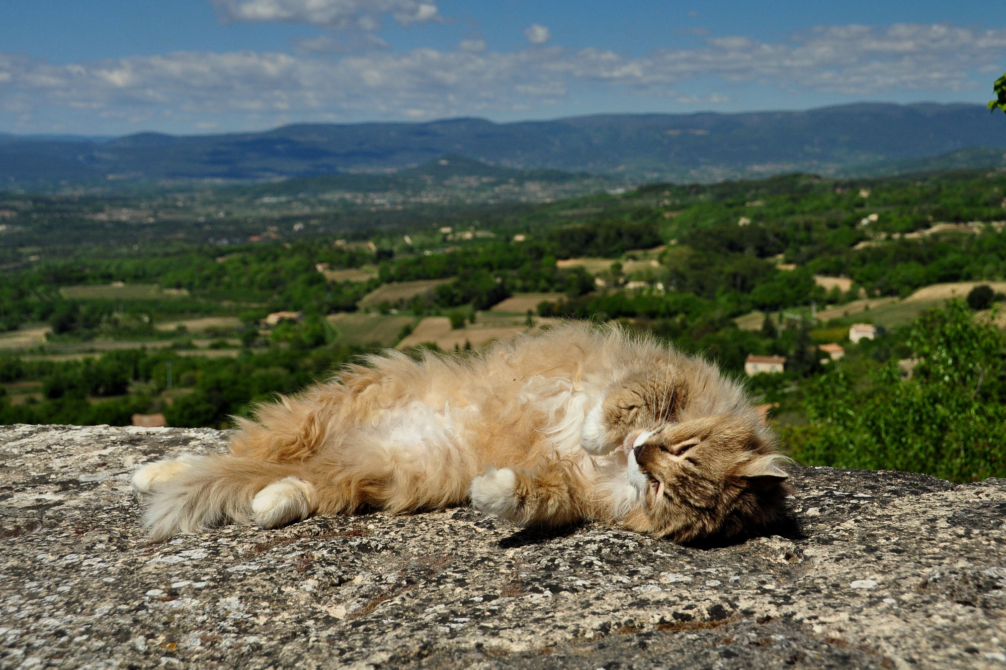 Bonnieux
